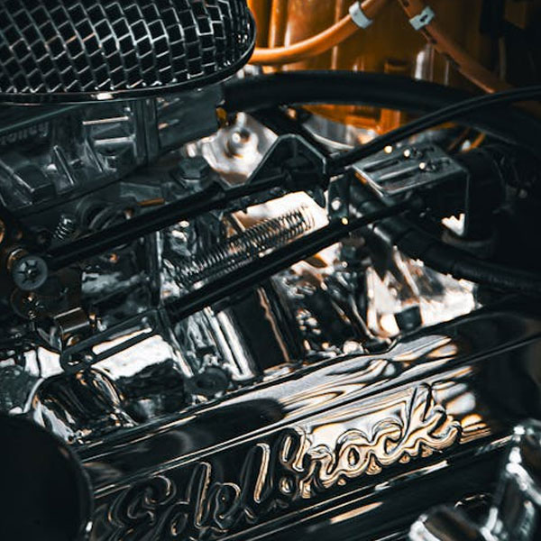 FURTRUE
未来展望